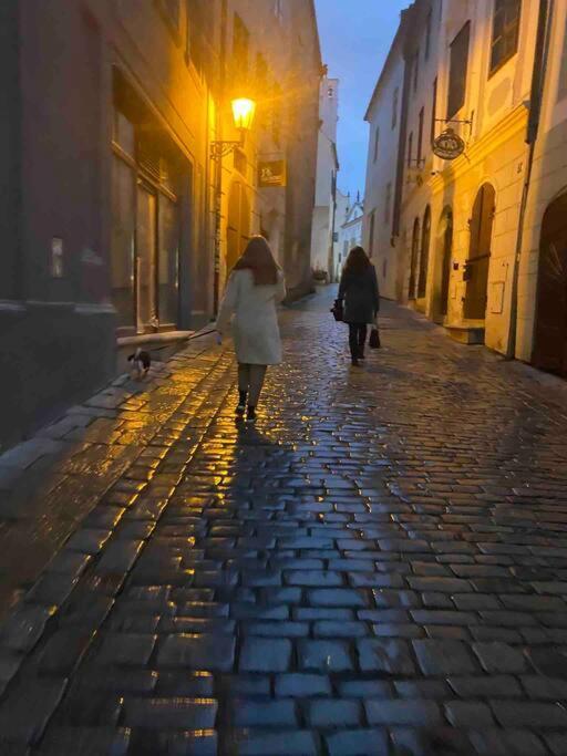 Unesco 14 Century Český Krumlov Esterno foto